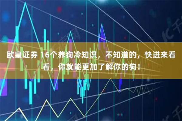 欧皇证券 16个养狗冷知识，不知道的，快进来看看，你就能更加了解你的狗！