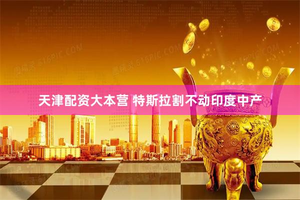 天津配资大本营 特斯拉割不动印度中产