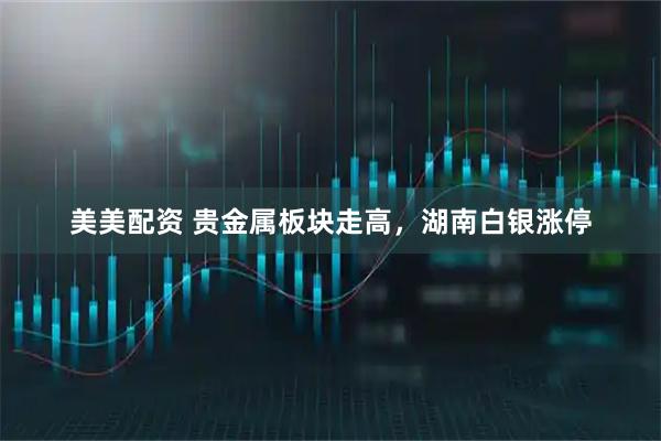 美美配资 贵金属板块走高，湖南白银涨停