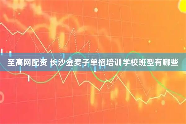 至高网配资 长沙金麦子单招培训学校班型有哪些