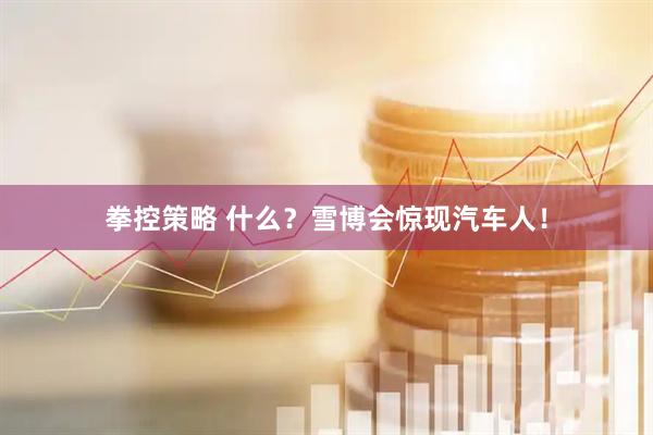 拳控策略 什么？雪博会惊现汽车人！