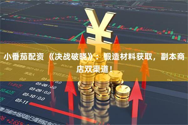 小番茄配资 《决战破晓》：锻造材料获取，副本商店双渠道！